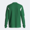 JOMA Winner II 1/4-Zip Trainings-Top Kinder 452 - grün/weiß 104