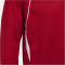 JOMA Championship VII 1/2-Zip Trainings-Top 602 - rot/weiß M