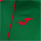 JOMA Championship VII Trikot Kinder 456 - grün/rot 116