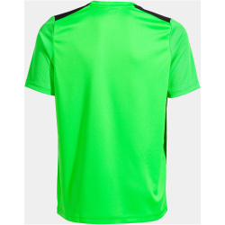 JOMA Championship VII Trikot 021 - grün...