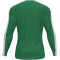 JOMA Academy langarm Trikot Kinder 452 - grün/weiß 80/92