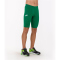 JOMA Brama Academy kurze Unterziehhose 450 - grün S/M