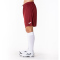 JOMA Nobel Shorts Kinder 671 - bordeaux 80/92