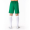JOMA Nobel Shorts Kinder 450 - grün 80/92