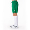 JOMA Nobel Shorts Kinder 450 - grün 80/92