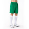 JOMA Nobel Shorts Kinder 450 - grün 80/92