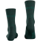 FALKE TK2 Wool Trekkingsocken Damen 7385 - holly 37-38