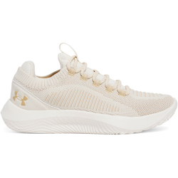 UNDER ARMOUR Dynamic 2 Fitnessschuhe Herren 279 - stone/brownstone/brownstone 44.5