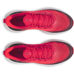 UNDER ARMOUR Infinite Laufschuhe Herren 713 - racer...