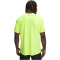 UNDER ARMOUR Vanish Energy Graphic Trainingsshirt Herren 731 - high vis yellow/castlerock/castlerock M