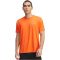 UNDER ARMOUR Vanish Energy Trainingsshirt Herren 847 - fire/fire L