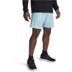 UNDER ARMOUR Woven Shorts Herren 494 - stream/black M