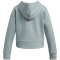 UNDER ARMOUR Rival Fleece Crop Hoodie Mädchen 348 - silica green/white L (149-160 cm)