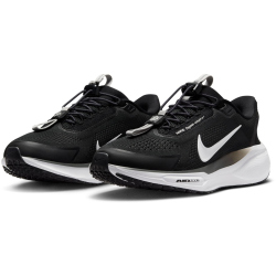 NIKE Pegasus EasyOn Laufschuhe Damen