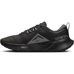 NIKE Juniper Trail 2 GORE-TEX wasserfeste Trailrunning Laufschuhe Herren 001 - black/cool grey-anthracite 42