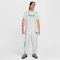 NIKE Sportswear Swoosh Air Graphic T-Shirt Herren 025 - photon dust S