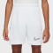 NIKE Academy 25 Dri-FIT Shorts Kinder 100 - white/white/black XL (158-170 cm)