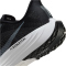 NIKE Pegasus Plus Laufschuhe Herren 002 - black/pure platinum-anthracite-white 38.5