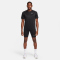 NIKE Fast Dri-FIT Brief-Lined Laufshorts Herren 010 - black/reflective silv S