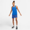 NIKE Challenger Brief-Lined Laufshorts Herren 480 - game royal/reflective silv XXL