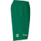 Kempa Performance Handballshorts lagune S