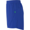 Kempa Performance Handballshorts Damen royal S