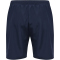 hummel MOVE Grid Woven Shorts Herren