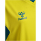 hummel hmlAUTHENTIC Polyester Trikot Kinder