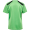 hummel hmlMULTI Polyester Trikot Kinder