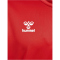 hummel hmlLOGO Trainingsanzug