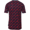 uhlsport Progressive 28 Trainingsshirt Kinder marine/rot 116