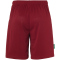 uhlsport For the Planet Center Basic Fußballshorts Herren bordeaux S