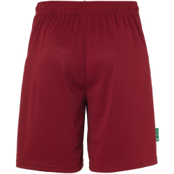uhlsport For the Planet Center Basic Fußballshorts Herren bordeaux M