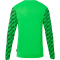 uhlsport Progressive Torwarttrikot Herren fluo grün/schwarz S