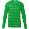 uhlsport Progressive Torwarttrikot Herren fluo grün/schwarz XL