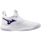 Mizuno Wave Dimension Volleyballschuhe Damen