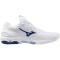 Mizuno Wave Stealth 6 Handballschuhe 96 - white/bellwether blue/bel air blue 42.5