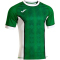 JOMA Myskin III Rugbytrikot 452 - grün/weiß S