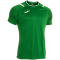JOMA Dinamo II Trikot 452 - grün/weiß S