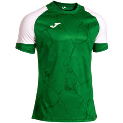 JOMA Hispa V Trikot 452 - grün/weiß S