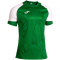 JOMA Hispa V Trikot 452 - grün/weiß S