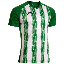 JOMA Inter V Trikot Kinder 452 - grün/weiß 104