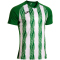 JOMA Inter V Trikot 452 - grün/weiß S