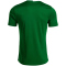 JOMA Tiger VII Trikot 452 - grün/weiß S