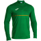 JOMA Record Pro 1/4-Zip Sweatshirt 450 - grün S