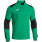 JOMA Danubio IV 1/4-Zip Sweatshirt Kinder 410 - grün/antrazith 104