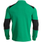 JOMA Danubio IV 1/4-Zip Sweatshirt 410 - grün/antrazith S