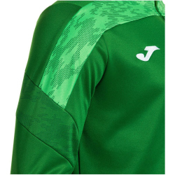 JOMA Championship VIII 1/4-Zip Sweatshirt 450 - grün S