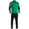 JOMA Danubio Trainingsanzug Kinder 410 - grün/antrazith 116