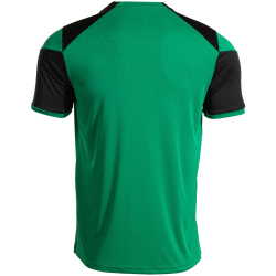 JOMA Danubio Trikot Kinder 410 - grün/antrazith 104